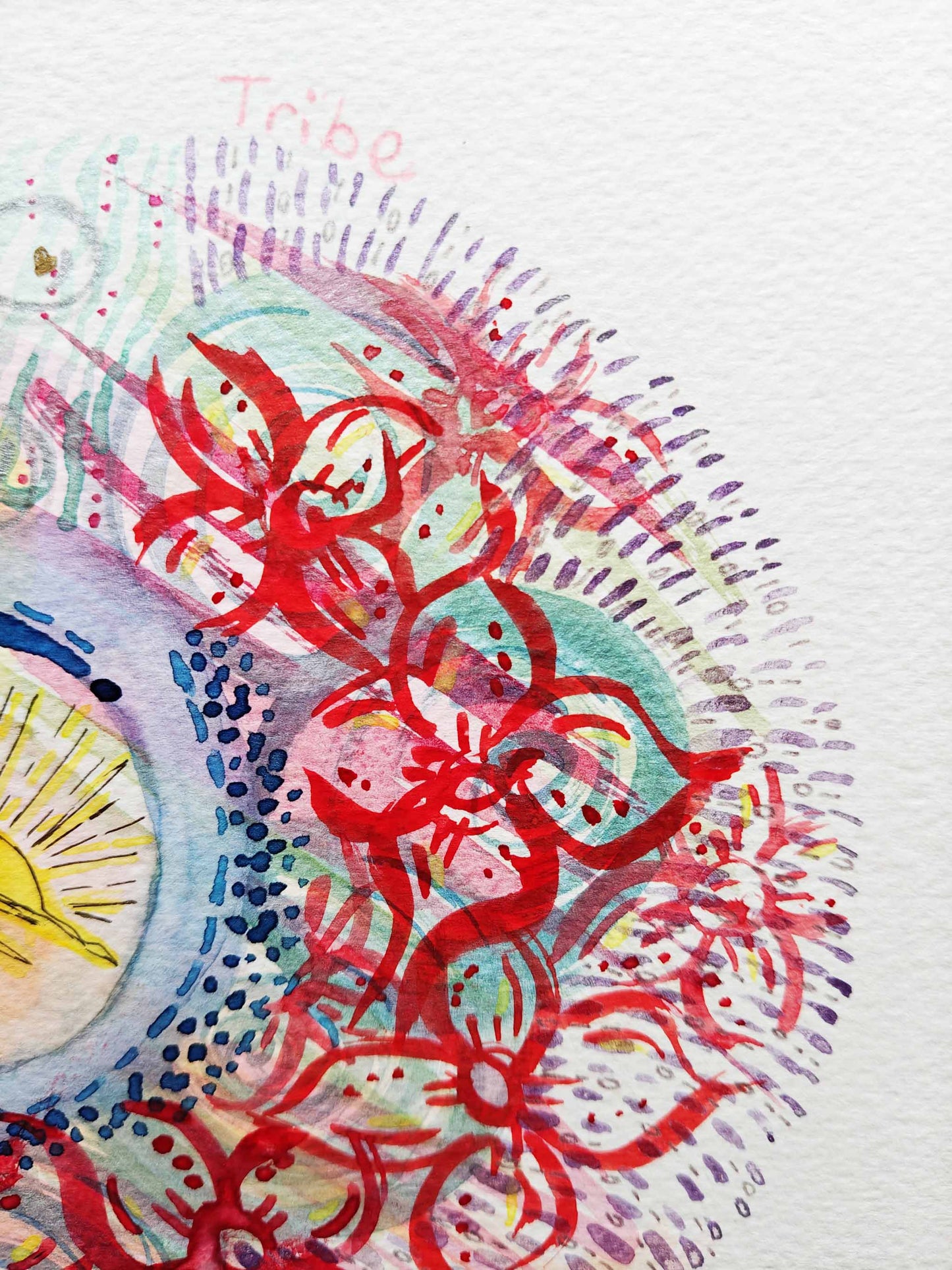 Tribe - Specially Priced