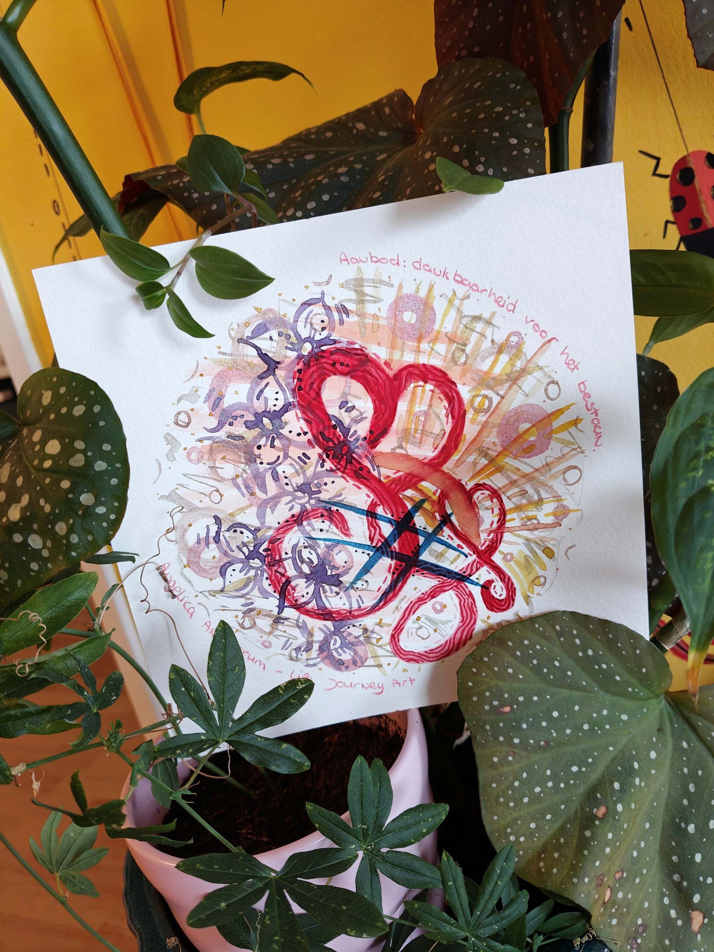 Aanbod: dankbaarheid voor het bestaan - Specially Priced