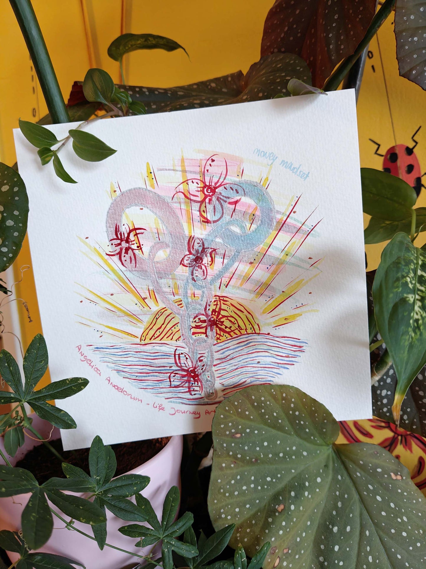 Money Mindset - Specially Priced