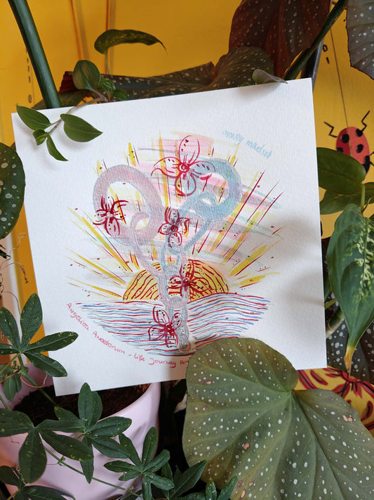 Money Mindset - Specially Priced