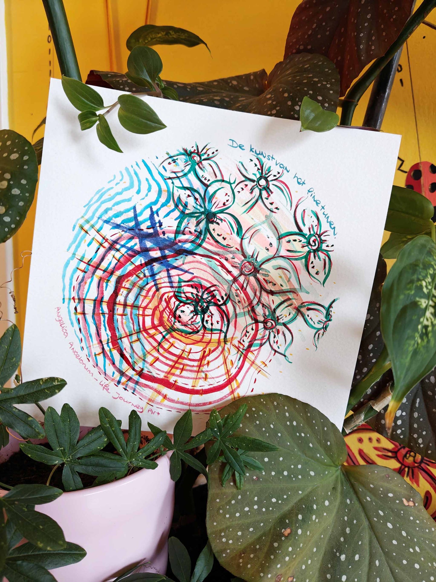 De kunst van het finetunen - Specially Priced