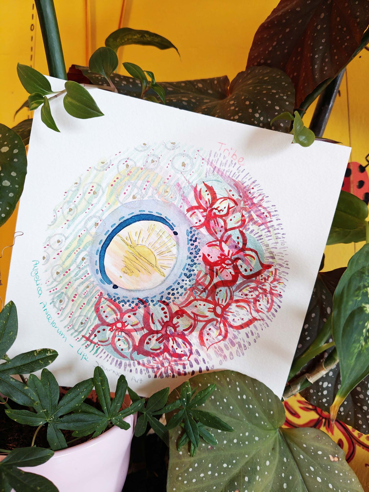 Tribe - Specially Priced