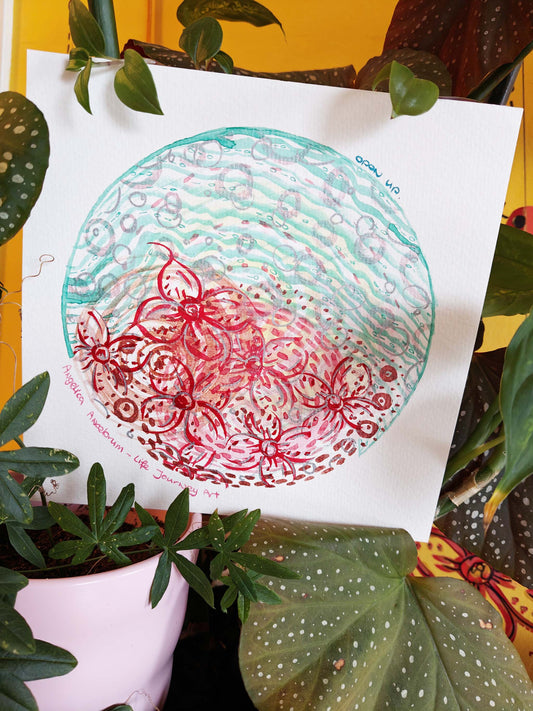 Open Up - Specially Priced